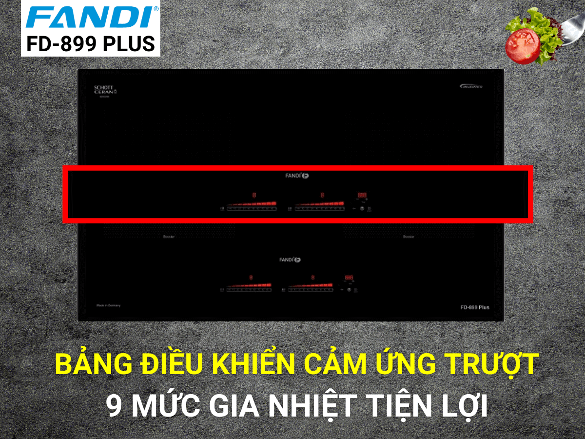 Bếp từ Fandi FD-899 PLUS