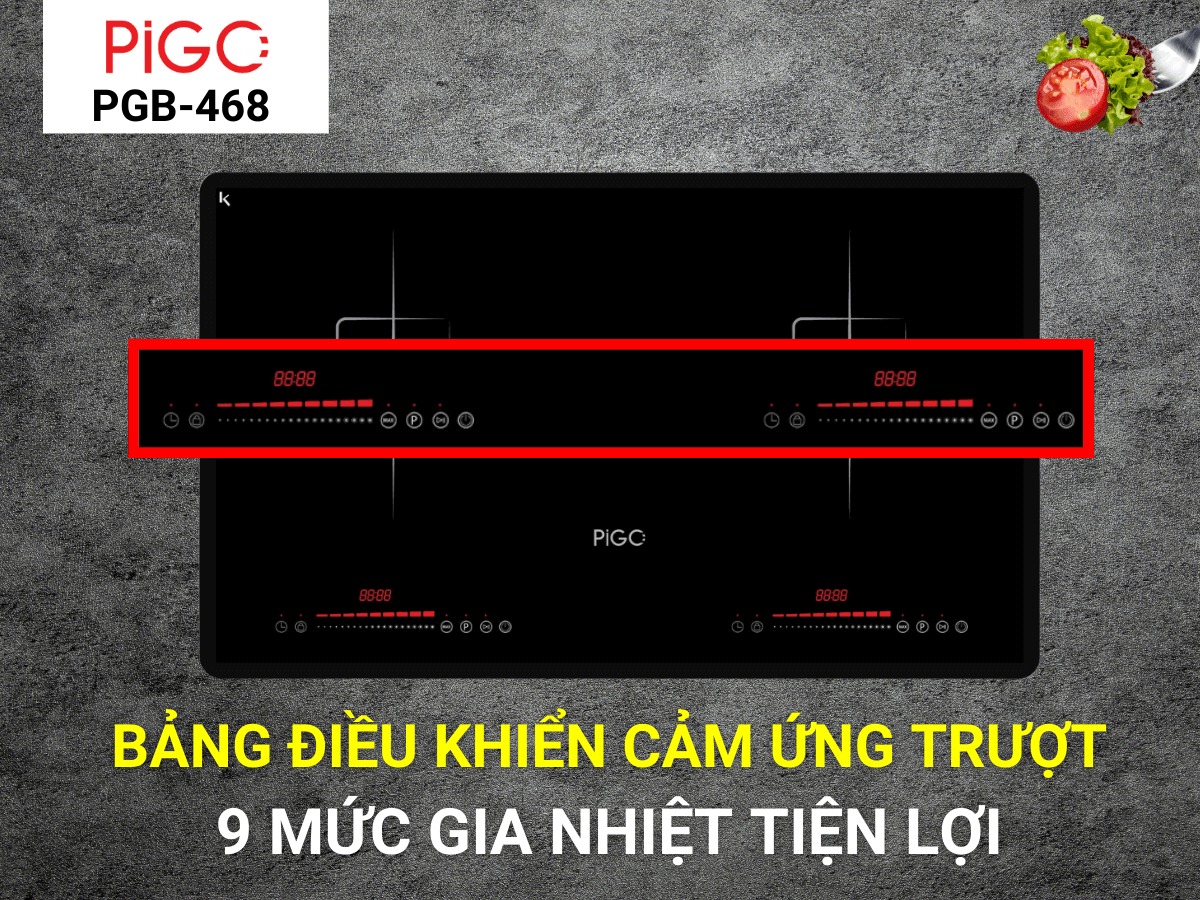 Bếp từ Pigo PGB-468