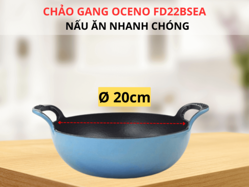 Tổng quan về Chảo gang Oceno FD22BSEA 20cm