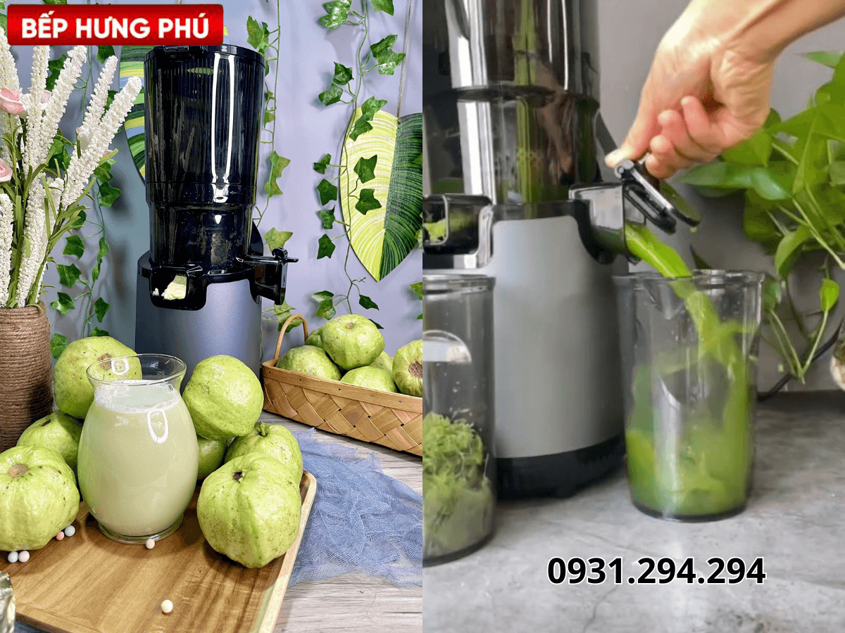 Máy ép chậm Olivo SJ196