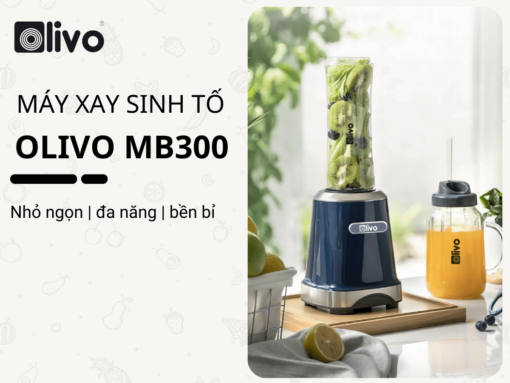 Máy xay sinh tố Olivo MB300 thiết kế hiện đại, dễ sử dụng