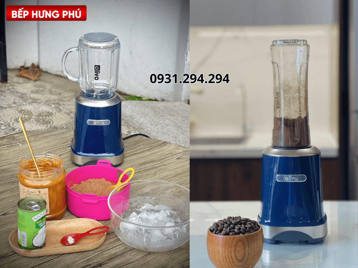 Máy xay sinh tố Olivo MB300