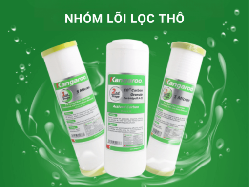 Nhóm lõi lọc thô