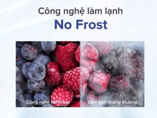 tủ đông lắp âm bosch gin81aef0 series 6 (6) Công nghệ No Frost chống đông đá