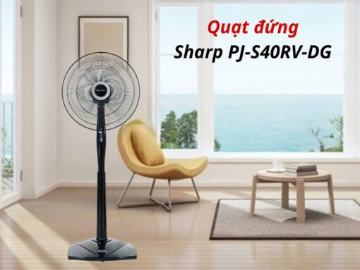 Thiết kế hiện đại, sang trọng