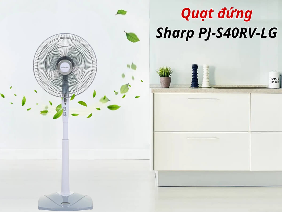 Thiết kế hiện đại, sang trọng