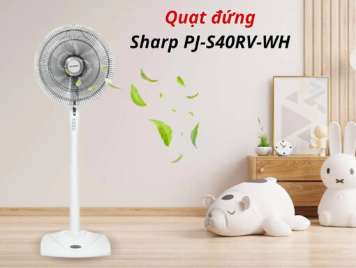 Thiết kế hiện đại, sang trọng