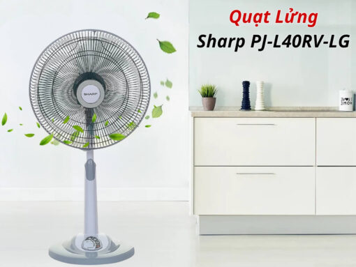 Thiết kế hiện đại, sang trọng