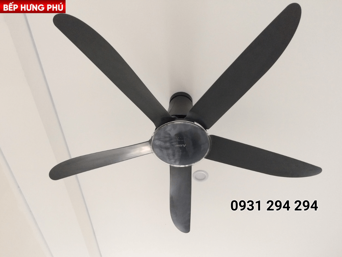 Quạt trần Mitsubishi C56-RA5 CY-GY lắp đặt tại nhà khách