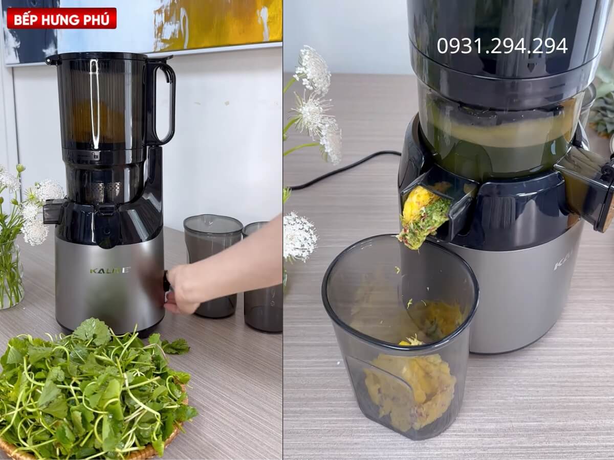 Máy ép chậm Kalite KSJ868