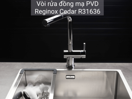 Vòi rửa Reginox Cedar R31636