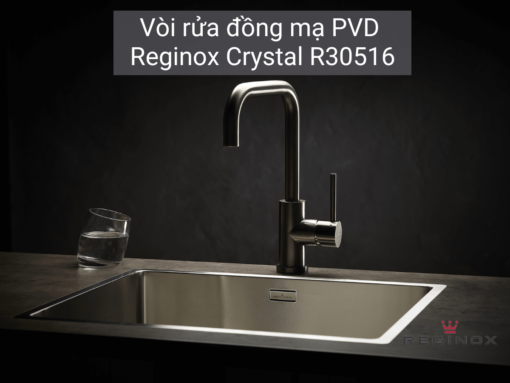 Đặc điểm nổi bật của Vòi rửa Reginox Crystal R30516
