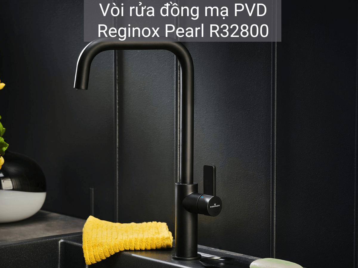 Vòi rửa Reginox Pearl R32800