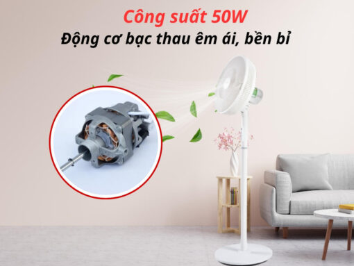Công suất 50W, động cơ bạc thau vận hành êm, bền bỉ