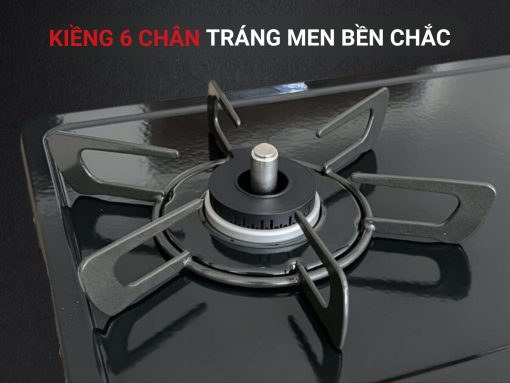 bếp gas rinnai rt64-2h6s-r