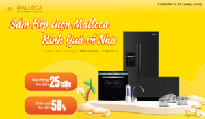 maloca tin tuc rs