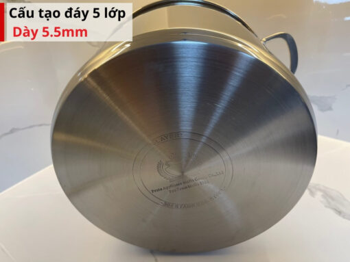 Cấu tạo đáy 5 lớp dày 5.5mm