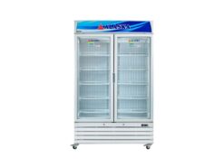 Tủ đông Alaska IF-700G2 700L