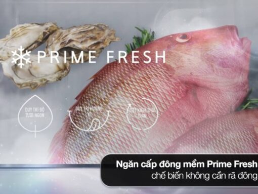 Ngăn đông mềm Prime Fresh bảo quản tươi ngon 7 ngày