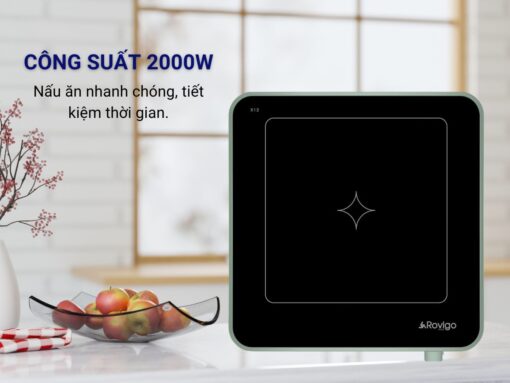 bếp từ đơn rovigo x12 (1)