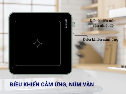 bếp từ đơn rovigo x12 (2)