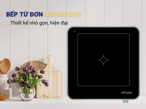 bếp từ đơn rovigo x12