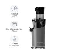 Máy ép chậm Snapbee S300 Max (Xám)