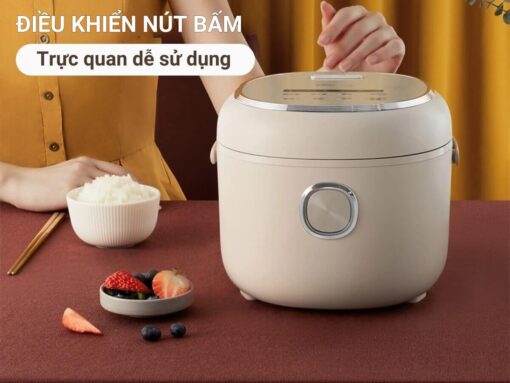 Điều khiển nút bấm điện tử, tiếng Việt dễ sử dụng