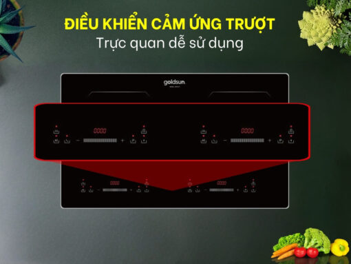 bếp từ goldsun gdi7411 (2)