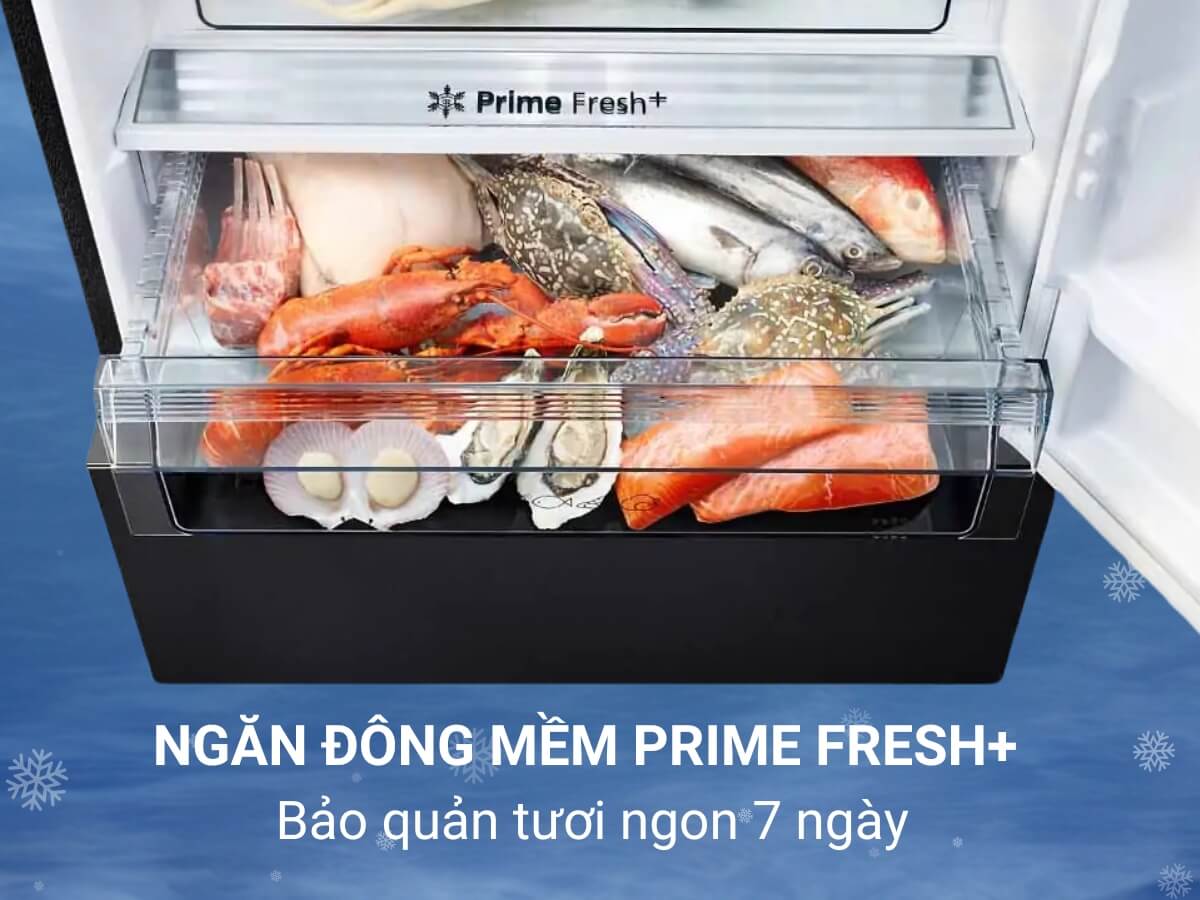 tủ lạnh panasonic nr-bx421xgkv inverter 380l