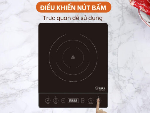 bếp từ đơn arber ab302a