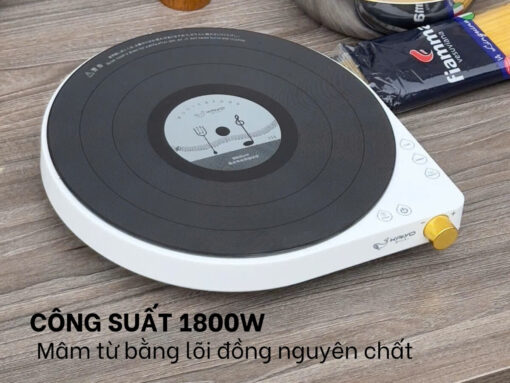 bếp từ đơn kaiyo kih-404 (2)