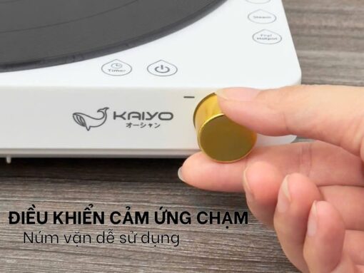bếp từ đơn kaiyo kih-404 (5) bếp từ đơn kaiyo kih-404