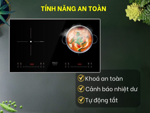 bếp từ pigo pgb-268