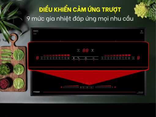 bếp từ fandi pid-939gd