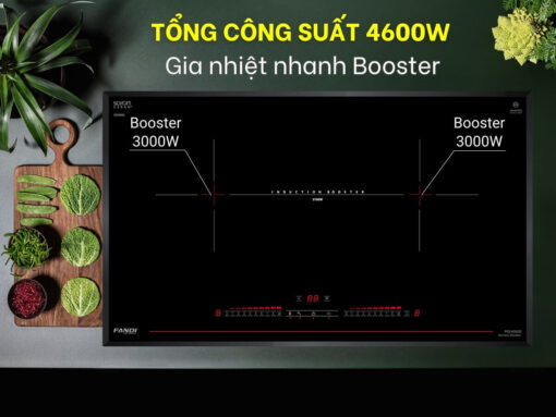 bếp từ fandi pid-939gd