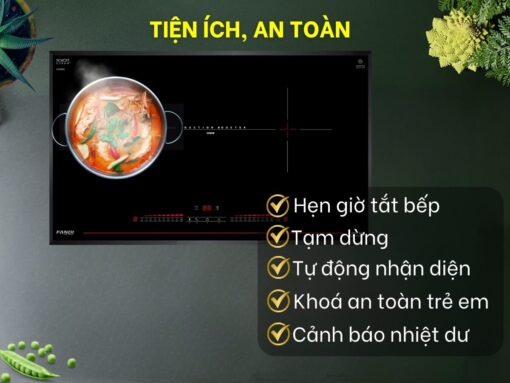 bếp từ fandi pid-939gd