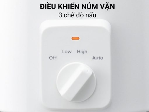 nồi nấu chậm panasonic nf-n31awra (4)