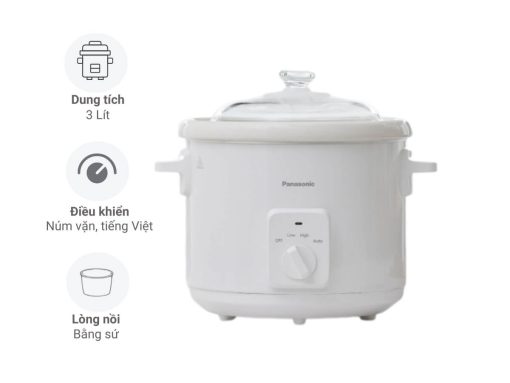 nồi nấu chậm panasonic nf-n31awra