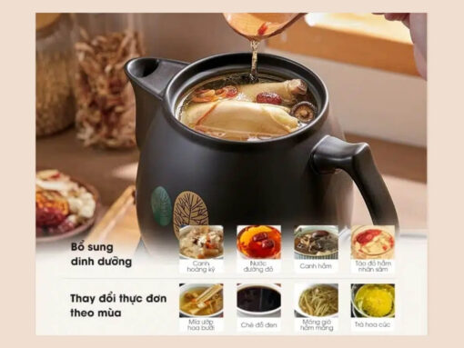 ấm sắc thuốc bear sb-ast35 (3)