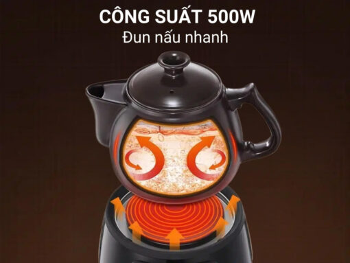 ấm sắc thuốc bear sb-ast35 (4)