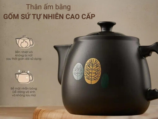 ấm sắc thuốc bear sb-ast35 (5)