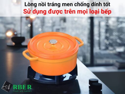 nồi gang arber ng20mv 20cm (3)