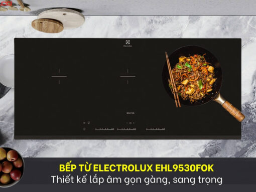 bếp từ electrolux ehl9530fok