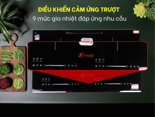bếp từ fulco fc-na68i (3)