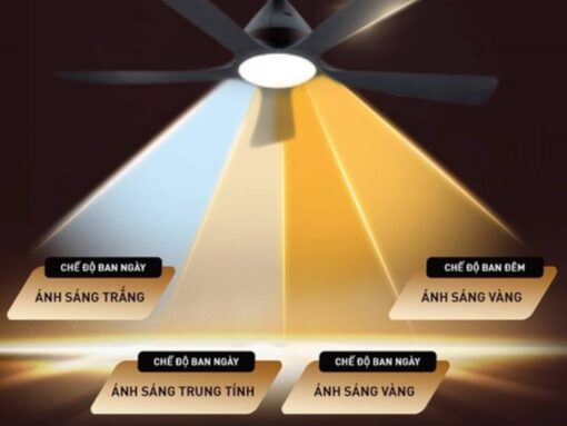 quạt trần panasonic f-60dgn (1)