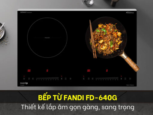bếp từ fandi fd-640g (2)