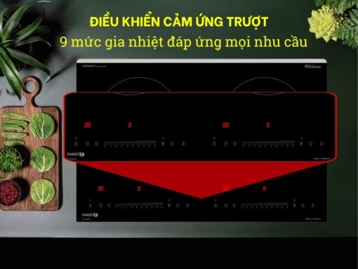 bếp từ fandi fd-640g (3)