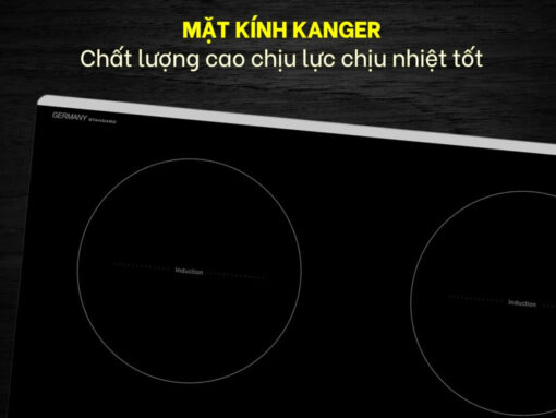 bếp từ fandi fd-640g (5)