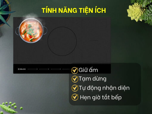 bếp từ malloca mh-885 (9)